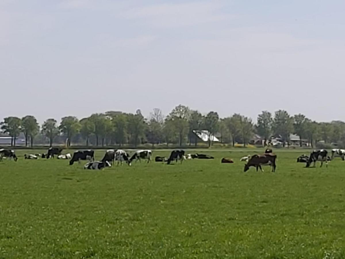 Luxe Gastenverblijf In Het Hart Van Friesland Akkrum Exterior foto