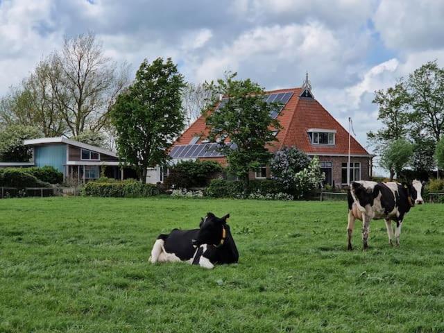 Luxe Gastenverblijf In Het Hart Van Friesland Akkrum Exterior foto